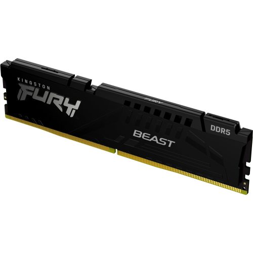 Kingston Technology FURY Beast memory module
