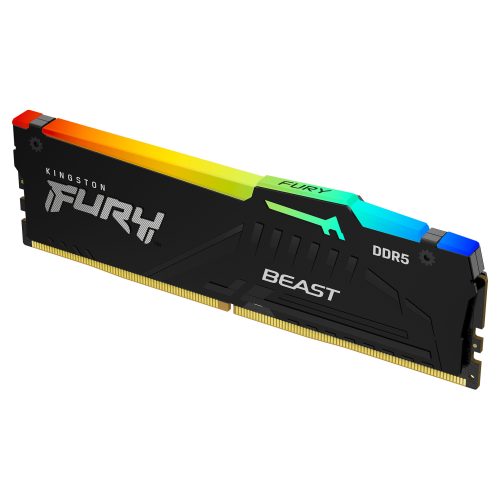 Kingston Technology FURY Beast RGB memory module