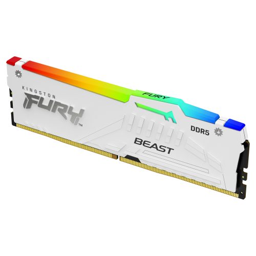 Kingston Technology FURY Beast RGB memory module