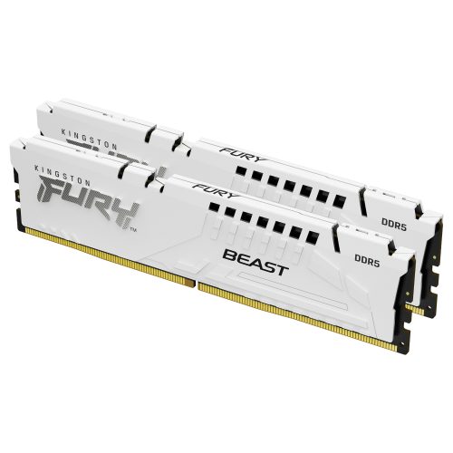 Kingston Technology FURY Beast memory module