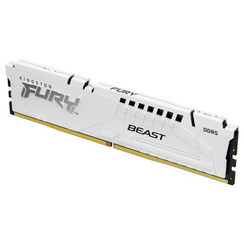 Kingston Technology FURY Beast memory module