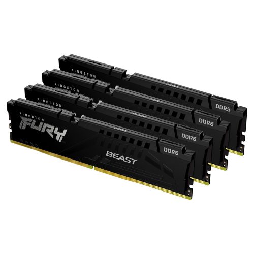 Kingston Technology FURY Beast memory module