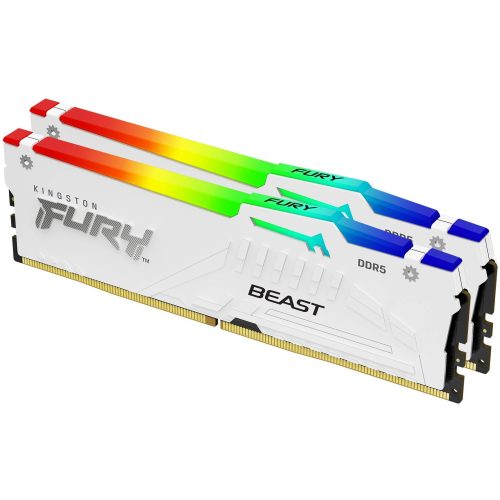 Kingston Technology FURY Beast RGB memory module