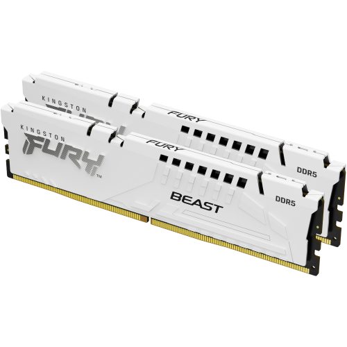 Kingston Technology FURY Beast memory module
