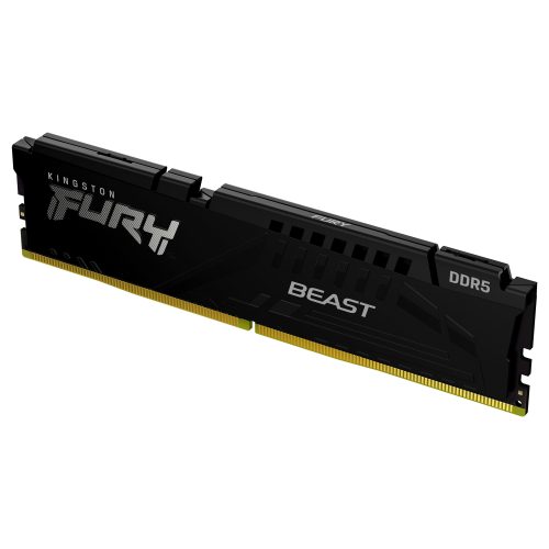 Kingston Technology FURY Beast memory module