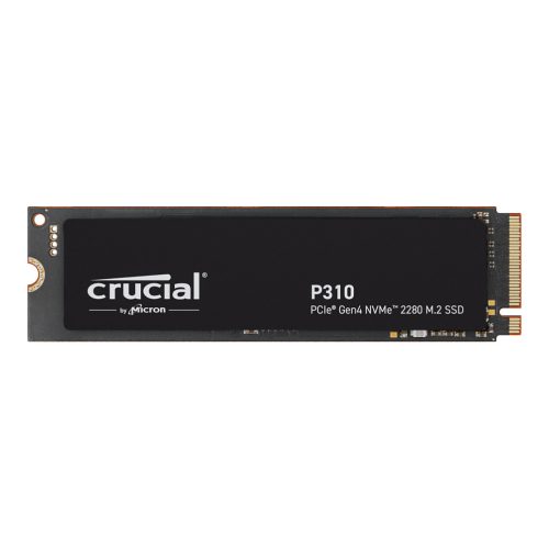Crucial P310