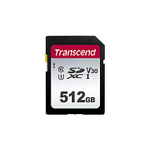 Transcend 300S