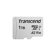 Transcend USD300S