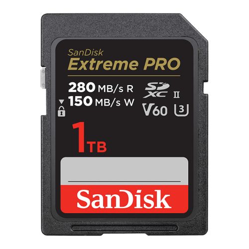 SanDisk SDSDXEP-1T00-GN4IN memory card