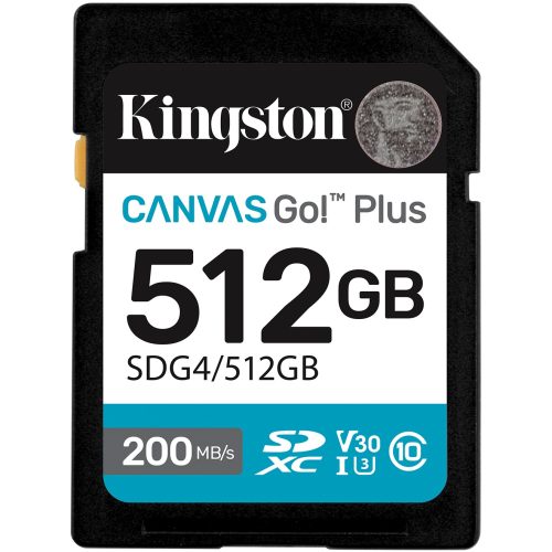 Kingston Technology Canvas Go! Plus