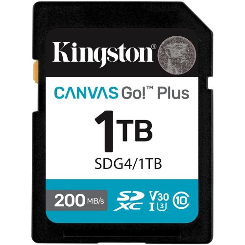 Kingston Technology Canvas Go! Plus