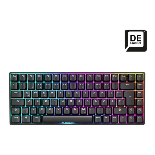 Sharkoon SKILLER SGK50 S3 keyboard