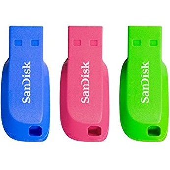 SanDisk Cruzer Blade 16GB USB flash drive