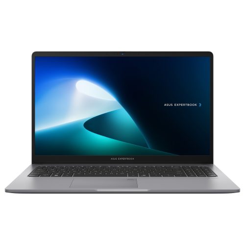 ASUS ExpertBook P1 P1503CVA-S71300