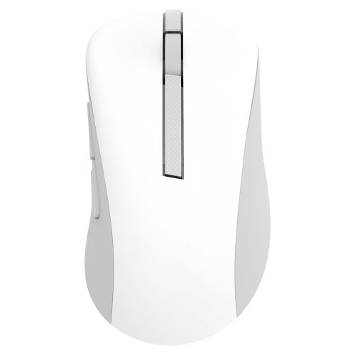 ASUS Wireless MD102 mouse