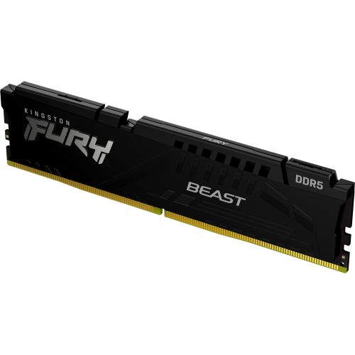 Kingston Technology FURY Beast memory module
