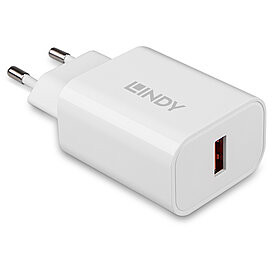 Lindy 73412 mobile device charger