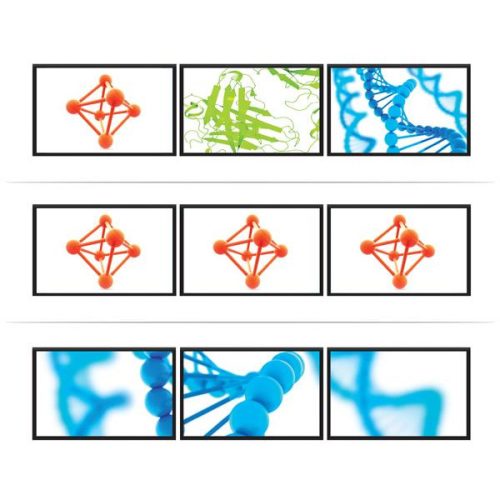 StarTech.com MSTDP123DP video splitter