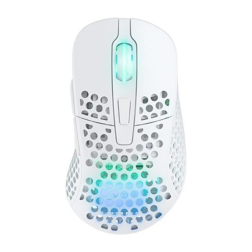 CHERRY XTRFY M4 RGB mouse